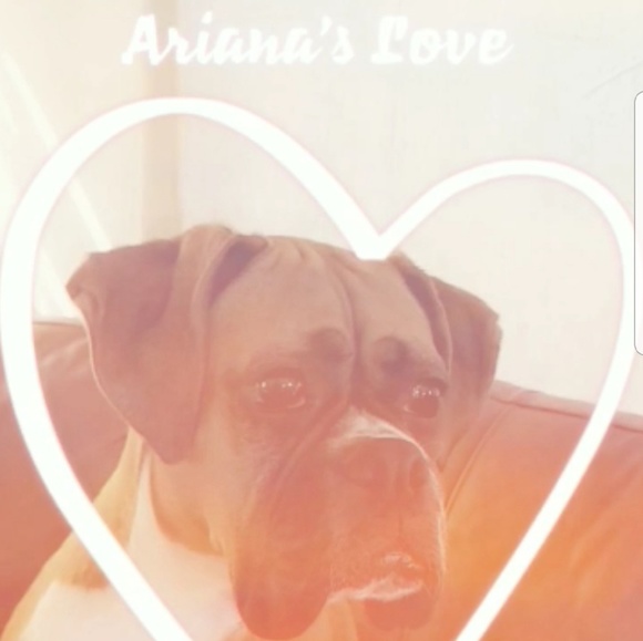 Meet your Posher, Ariana - Picture 7 of 7